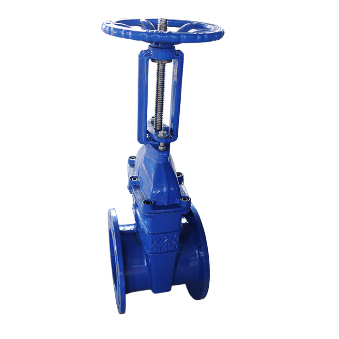 Gate Valve Flanged OS&Y - MVCI