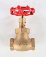 Kitz Bronze Globe Valve Union Bonnet