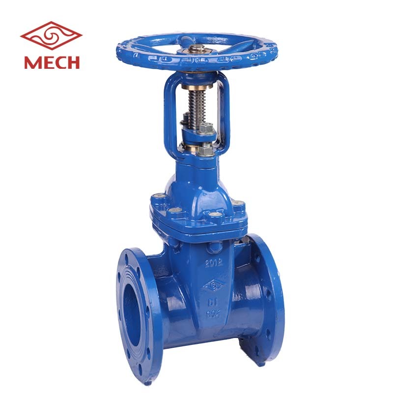 Mech OS&Y Resilient Seated Gate Valve Flanged Table E